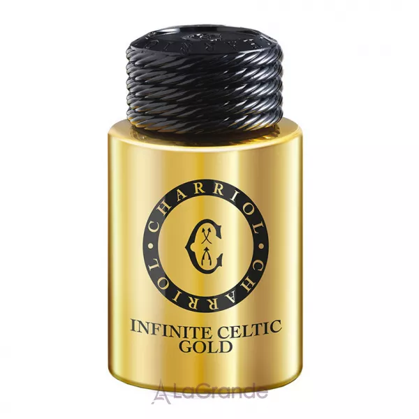 Charriol Infinite Celtic Gold Pour Homme ����������� ���� (������)