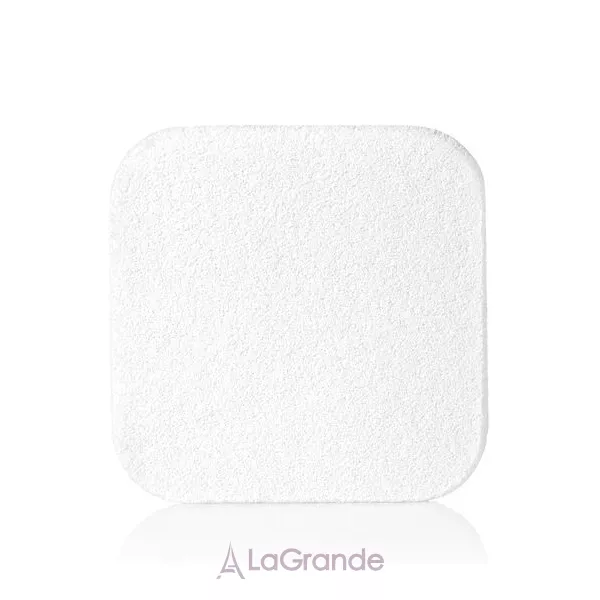 Shiseido Synchro Skin Self-Refreshing Custom Finish Powder Foundation ����������������������� ����� ��� ����