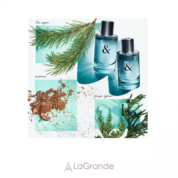 Tiffany Tiffany & Co Love for Him ��������� ����