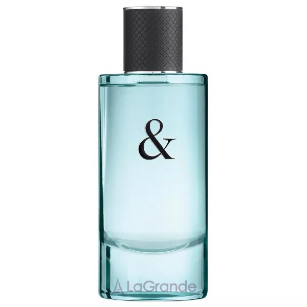 Tiffany Tiffany & Co Love for Him ��������� ����