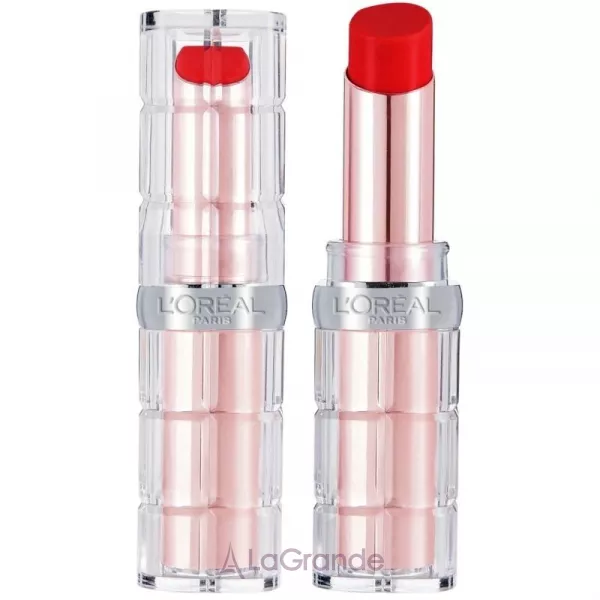 L'Oreal Paris Color Riche Plump and Shine ������ ��� ���