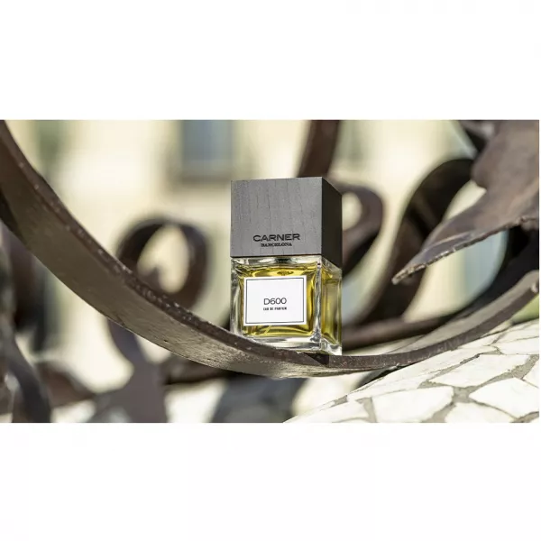 Carner Barcelona D600 ����������� ���� (������)