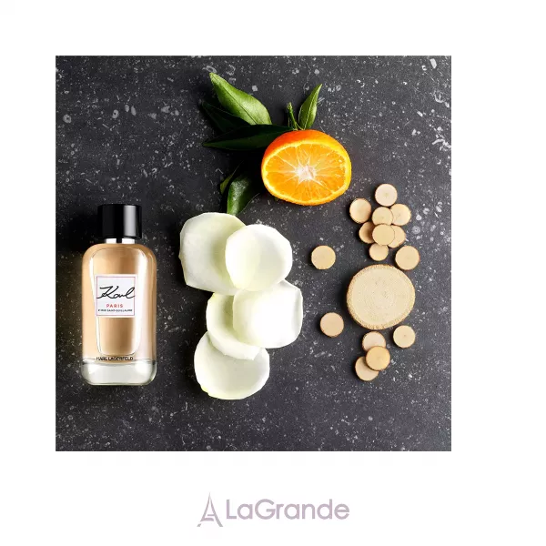Karl Lagerfeld Paris 21 Rue Saint-Guillaume ��������������� ����