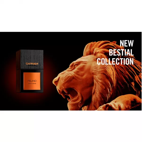 Carner Barcelona Felino ����������� ����