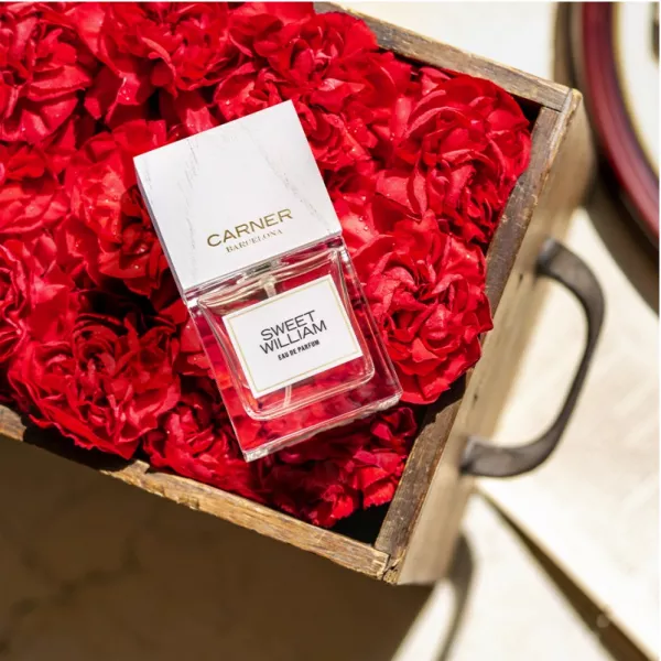 Carner Barcelona Sweet William ����������� ���� (������)