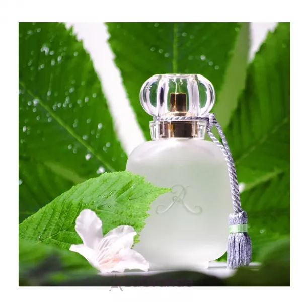 Les Parfums de Rosine  Mon Amie La Rose ��������������� ����