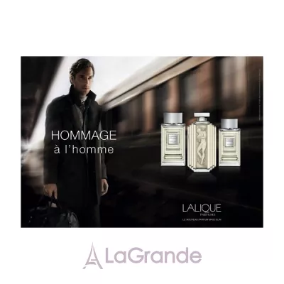 Lalique Hommage a L`Homme  (  100  +    150 )