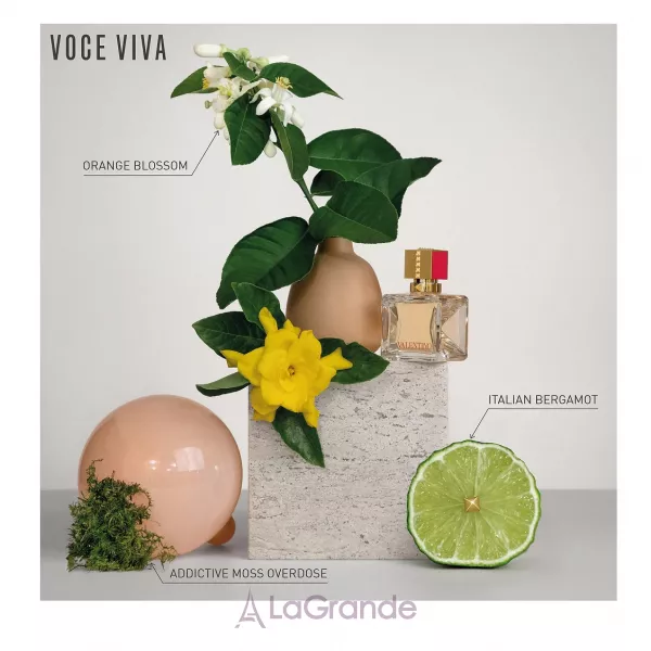 Valentino Voce Viva ����������� ���� (������)