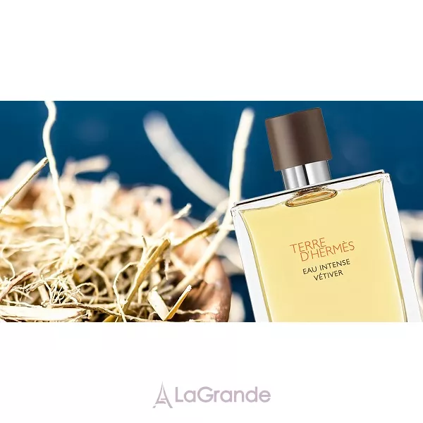 Hermes Terre D`Hermes Eau Intense Vetiver Hermes ����� ( ��������������� ���� 100 �� + ���� ��� ���� 80 �� + ������� ����� ������ 40 �� )