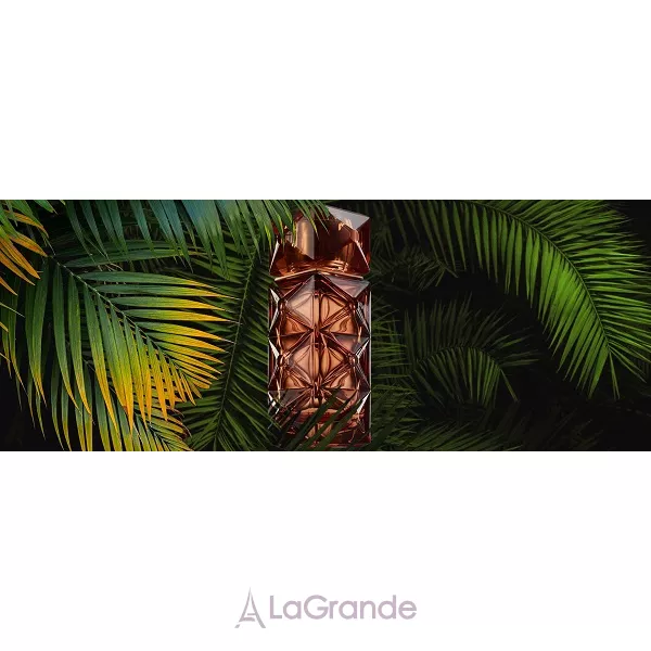 FO'AH  Memoires d'une Palmeraie 02 ����