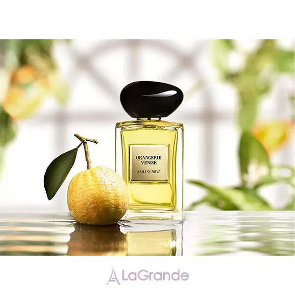 Armani Orangerie Venise �������� ����
