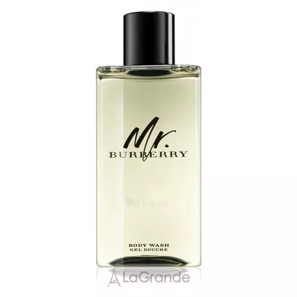 Burberry Mr. Burberry ���� ��� ����