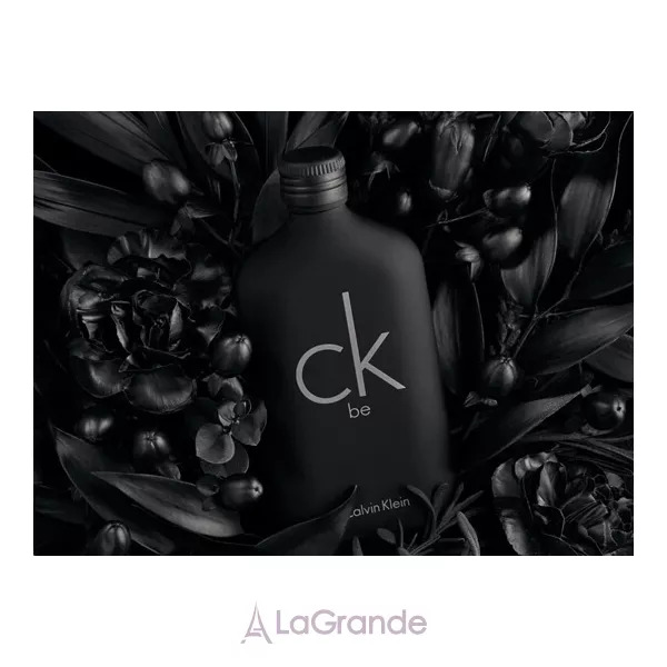Calvin Klein CK Be ����� ( ��������� ���� 200 �� + ���������� 75 �� )