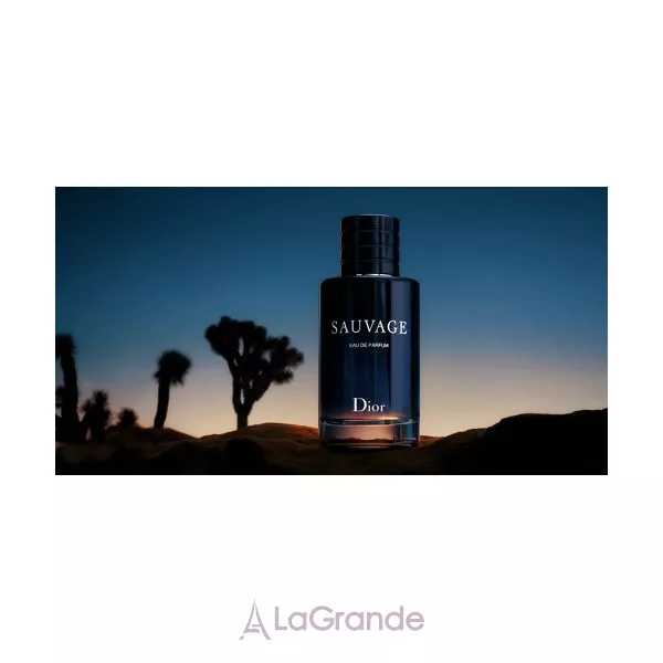 Christian Dior Sauvage Eau de Parfum ���� (����������� ���� 100 �� + �������� 10 �� + ���� ��� ���� 50 ��)