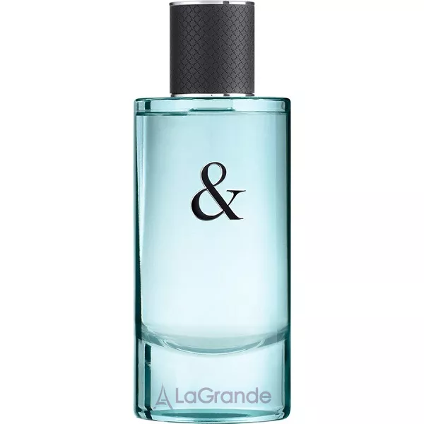 Tiffany Tiffany & Co Love for Him �������� ���� (������)