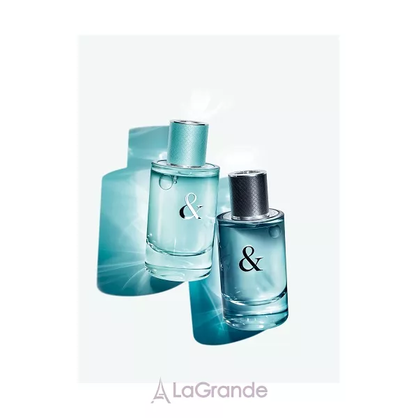 Tiffany Tiffany & Co Love for Him �������� ���� (������)