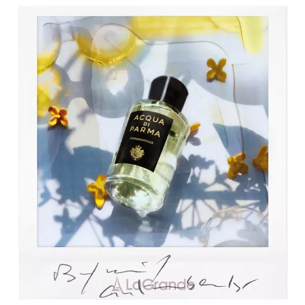 Acqua di Parma Osmanthus Eau de Parfum ��������������� ���� (������)