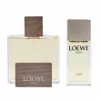 Loewe Solo Loewe Cedro  (  100 +   30)