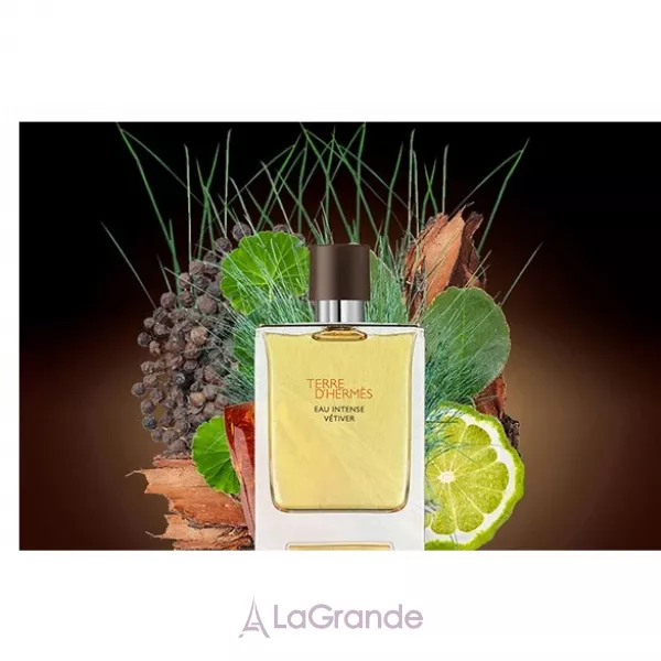 Hermes Terre D`Hermes Eau Intense Vetiver Hermes ���� (����������� ���� 100 �� + ���� ��� ���� 80 ��)