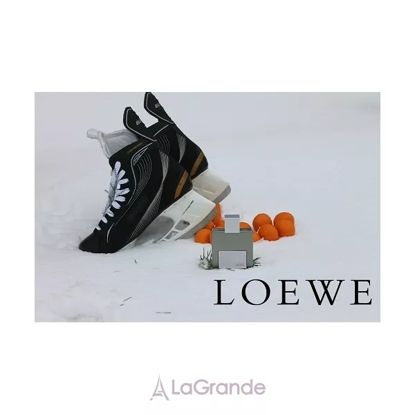 Loewe Solo Loewe Sport �������� ����