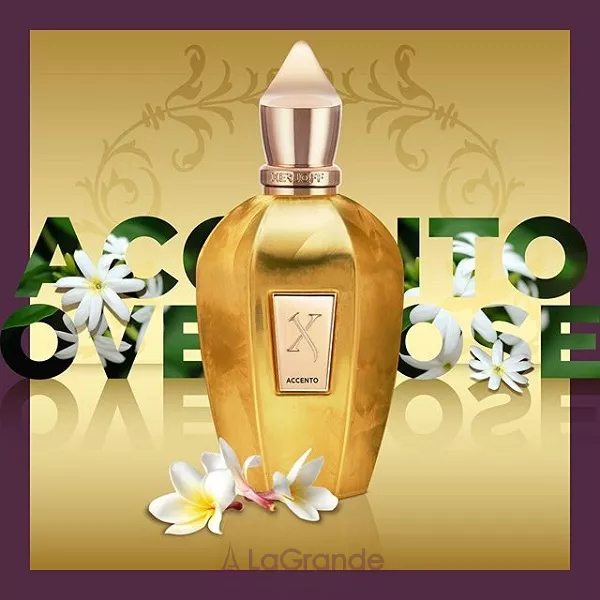 Xerjoff Accento Overdose ����������� ���� (������)