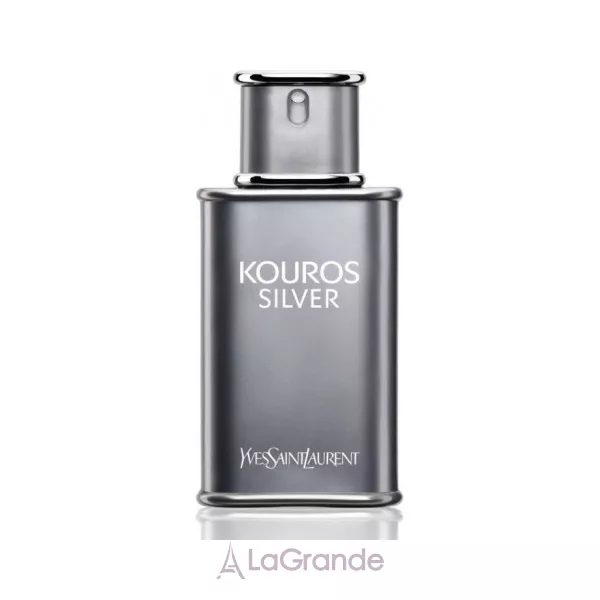 Yves Saint Laurent Kouros Silver ��������� ���� (������)