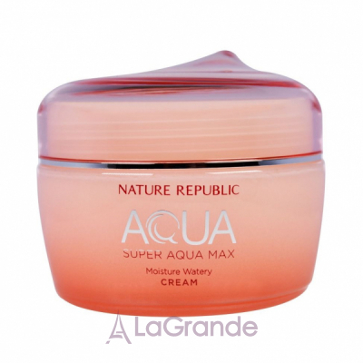 Nature Republic Super Aqua Max Moisture Watery Cream     