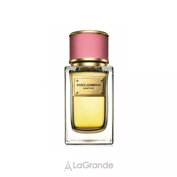 Dolce & Gabbana Velvet Rose ����������� ����