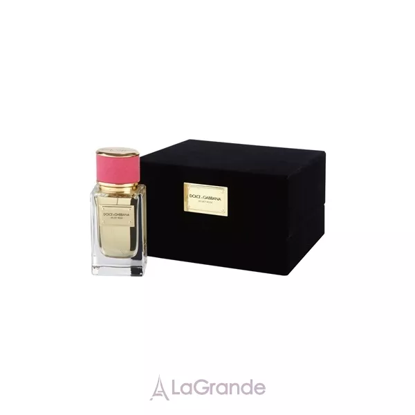 Dolce & Gabbana Velvet Rose ����������� ����