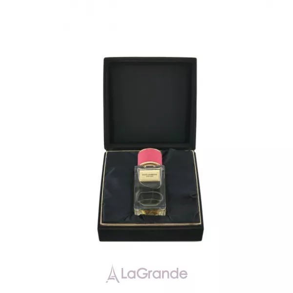Dolce & Gabbana Velvet Rose ����������� ����