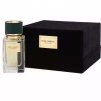 Dolce & Gabbana Velvet Vetiver ��������������� ����