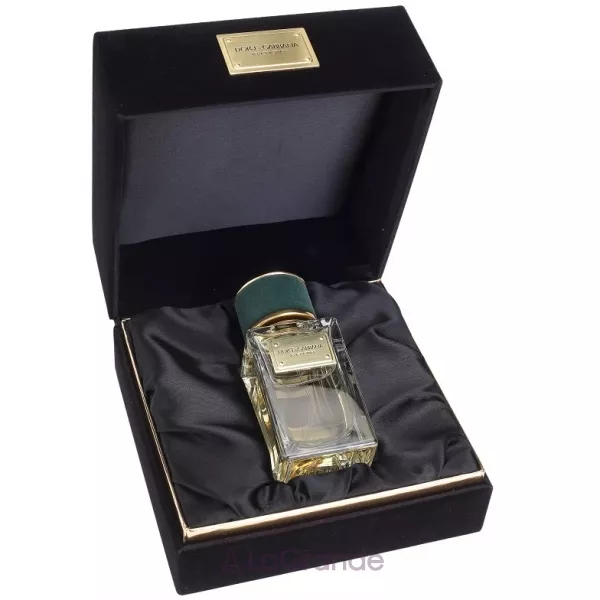 Dolce & Gabbana Velvet Vetiver ����������� ����