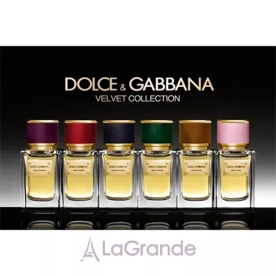 Dolce & Gabbana Velvet Wood  