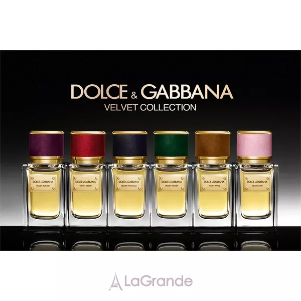 Dolce & Gabbana Velvet Wood ����������� ����