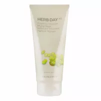 The Face Shop Herb Day 365 Cleansing Foam Mung Bean ����� ��� �������� � ������ ����