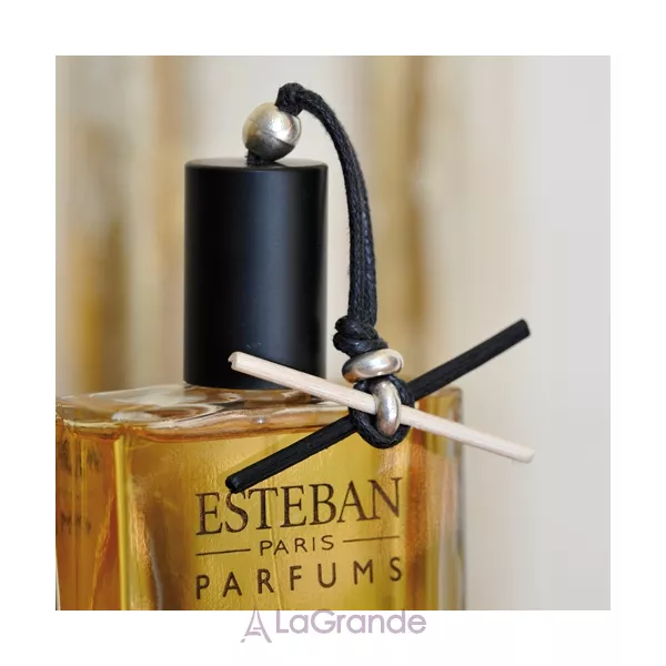 Esteban Bois Plume ��������� ����