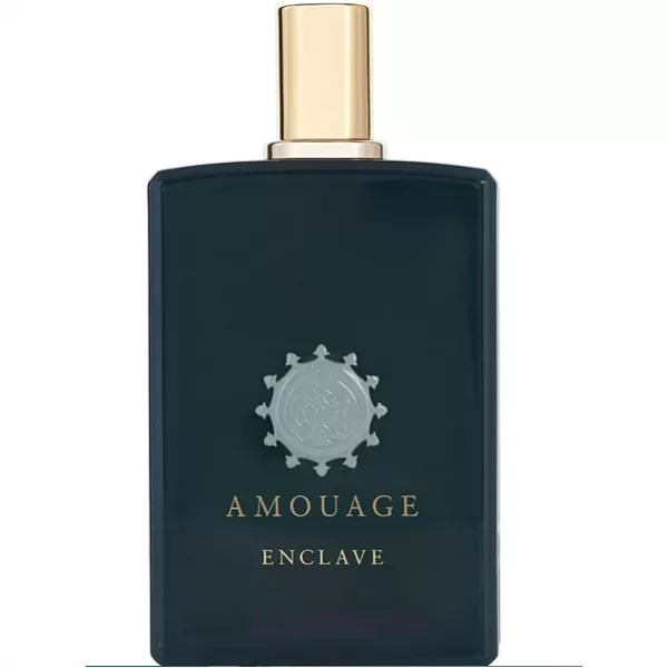Amouage  Enclave ����������� ���� (������)