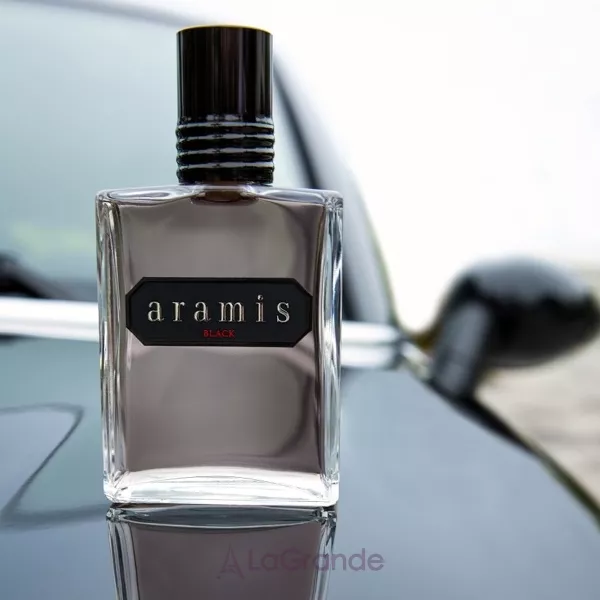 Aramis Black �������� ���� (������)