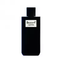 Brecourt Captive ��������������� ���� (������)