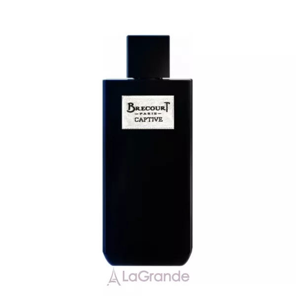 Brecourt Captive ��������������� ���� (������)
