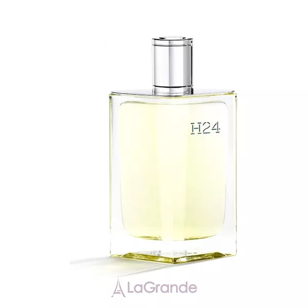 Hermes H24 ��������� ���� (������)
