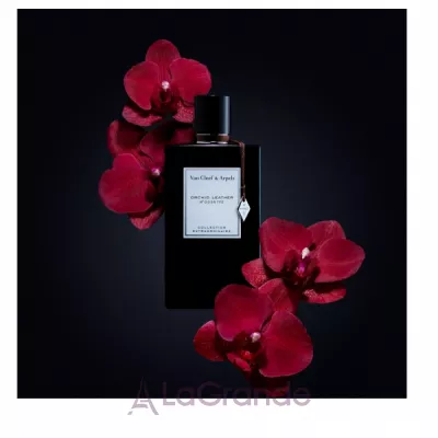Van Cleef & Arpels Collection Extraordinaire Orchid Leather  