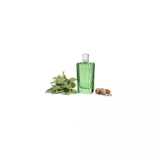 The Merchant of Venice  Dalmatian Sage ����������� ���� (������)