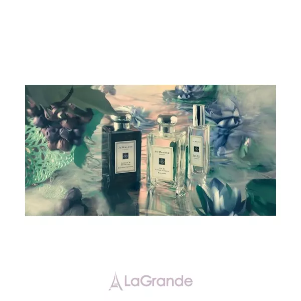 Jo Malone  Fig & Lotus Flower ��������