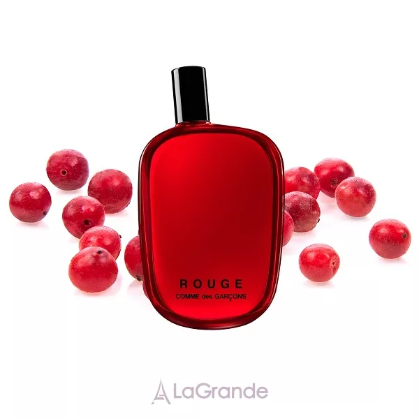 Comme des Garcons Rouge ����������� ����
