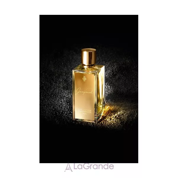Marc-Antoine Barrois Ganymede ��������������� ����