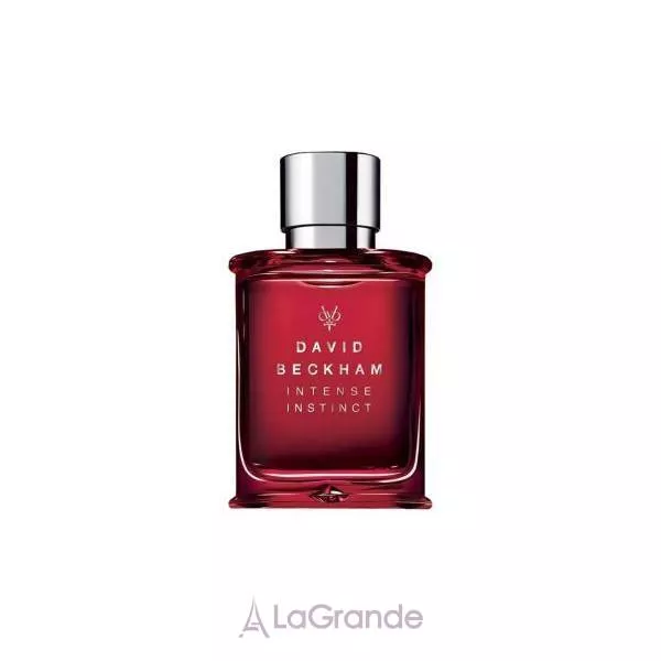 David & Victoria Beckham David Beckham Intense Instinct ��������� ���� (������)