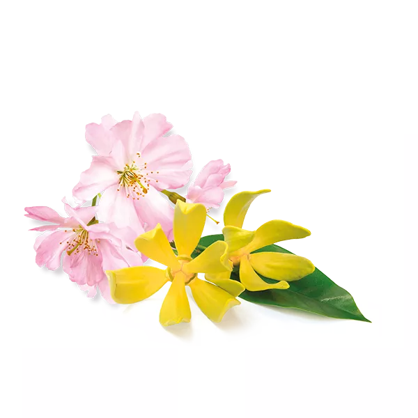 Artdeco Cocooning Shower Foam ����� ��� ����