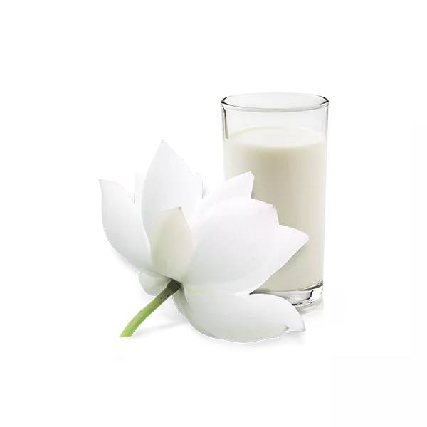 Artdeco Pure Care Shower Foam ����� ��� ����