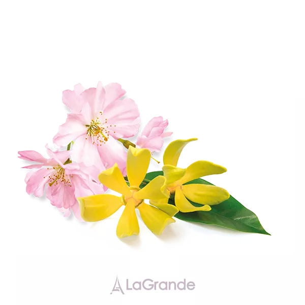 Artdeco All Over Body Fragrance Ylang Ylang & Patchouli ������������� ����� ��� ����